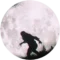 Werewolf Movies Daily