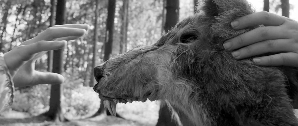 The wolf main