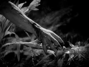 Werewolf of london - grabbing the flower