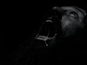 Werwulf - transformation