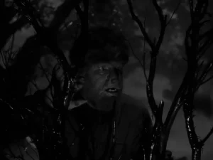 wolf man in the fog