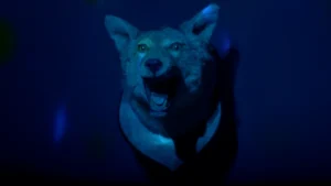 Hellcat still wolf head