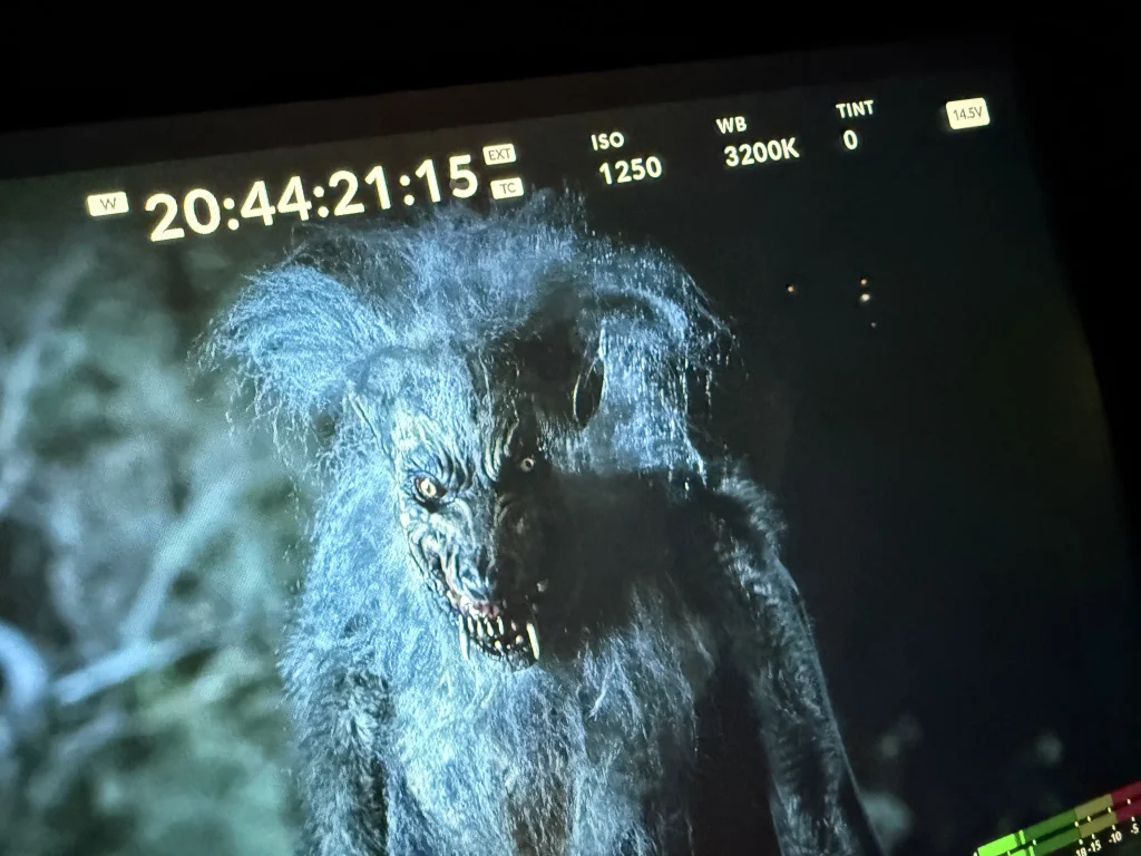Models vs werewolves