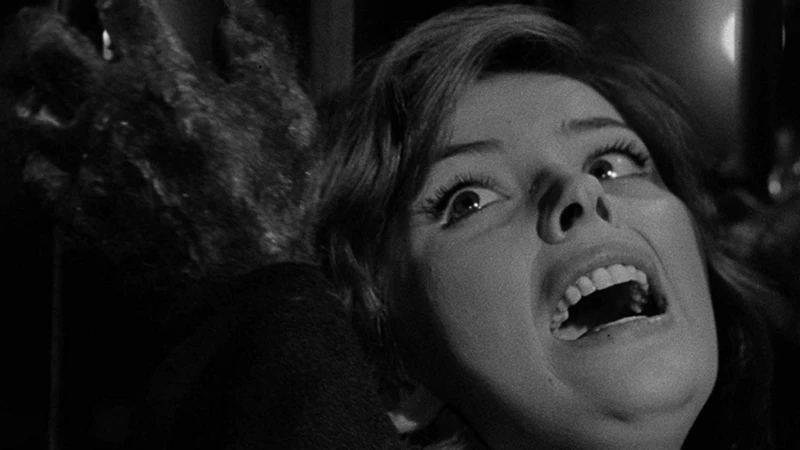 Werewolf in a girls dormitory