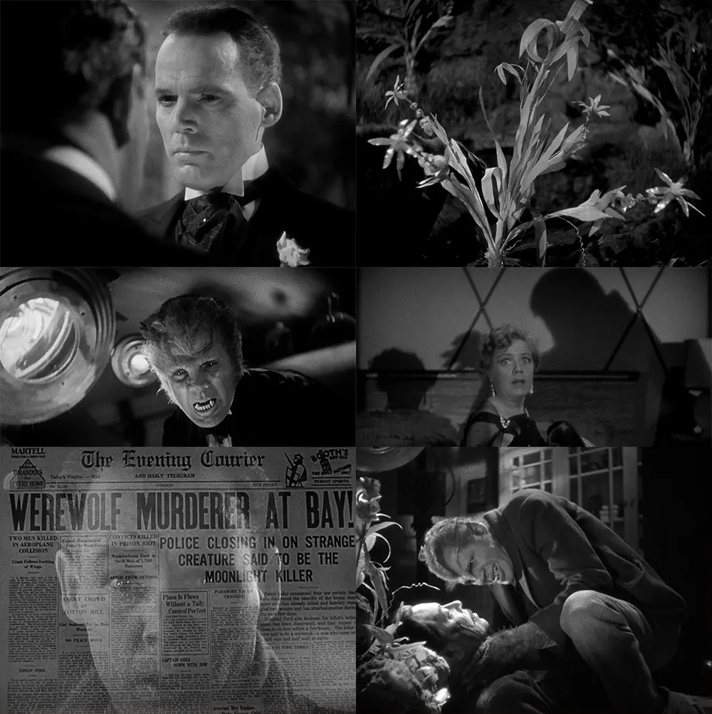 Werewolf of london collage